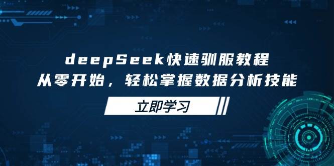 (3.16)deepSeek快速驯服教程，从零开始，轻松掌握数据分析技能
